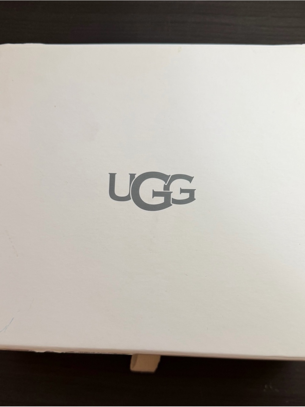 UGG Sheepskin & Suede Care Kit.